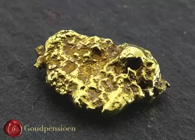 hoeveel ton goud heeft nederland