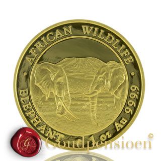 1000 Shillings 2019 Somali Republic gouden munt