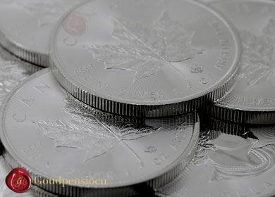 Een afbeelding van zilveren Maple Leaf munten, waaronder een aantal munten duidelijk zichtbaar zijn op de voorgrond, symbool voor de mogelijkheid om specifiek zilveren Maple Leaf munten te kopen als een investering in edelmetalen.
